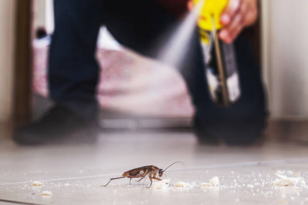 Best Pest Removal Services  in Binghamton University, NY